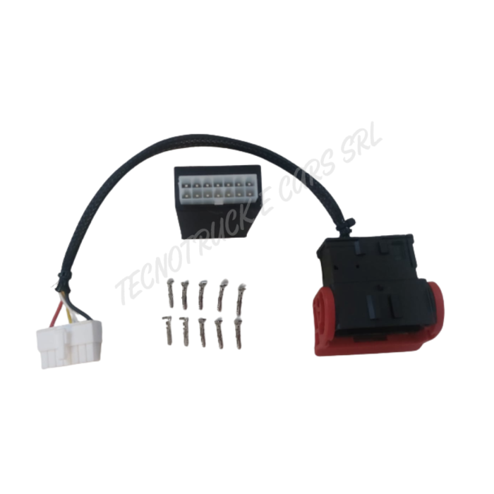Kit scheda regimi intermedio fix Daily 2024 2